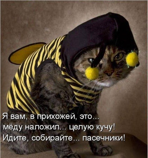 http://cs9870.vkontakte.ru/u103285569/-5/x_9e0941ec.jpg